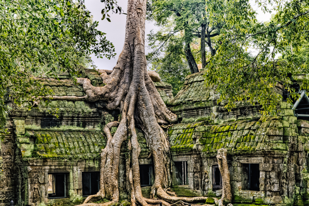 Asean Angkor Guide - Temple Gallery-2