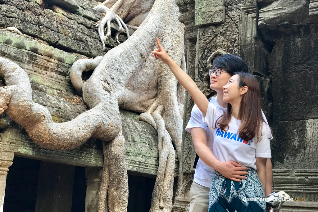 Ta Prohm : Full-Day Private Temple Tour in Siem Reap and Angkor Wat