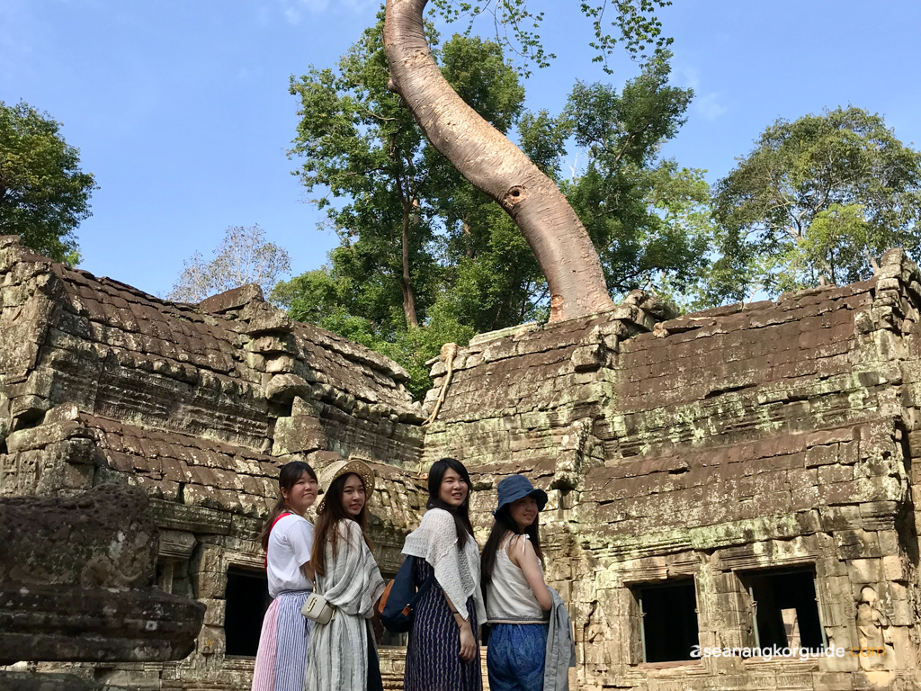 Giant tree's root at Ta Prohm temple