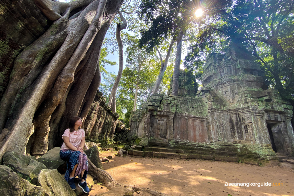 Private Angkor Wat tour at Ta Prohm temple